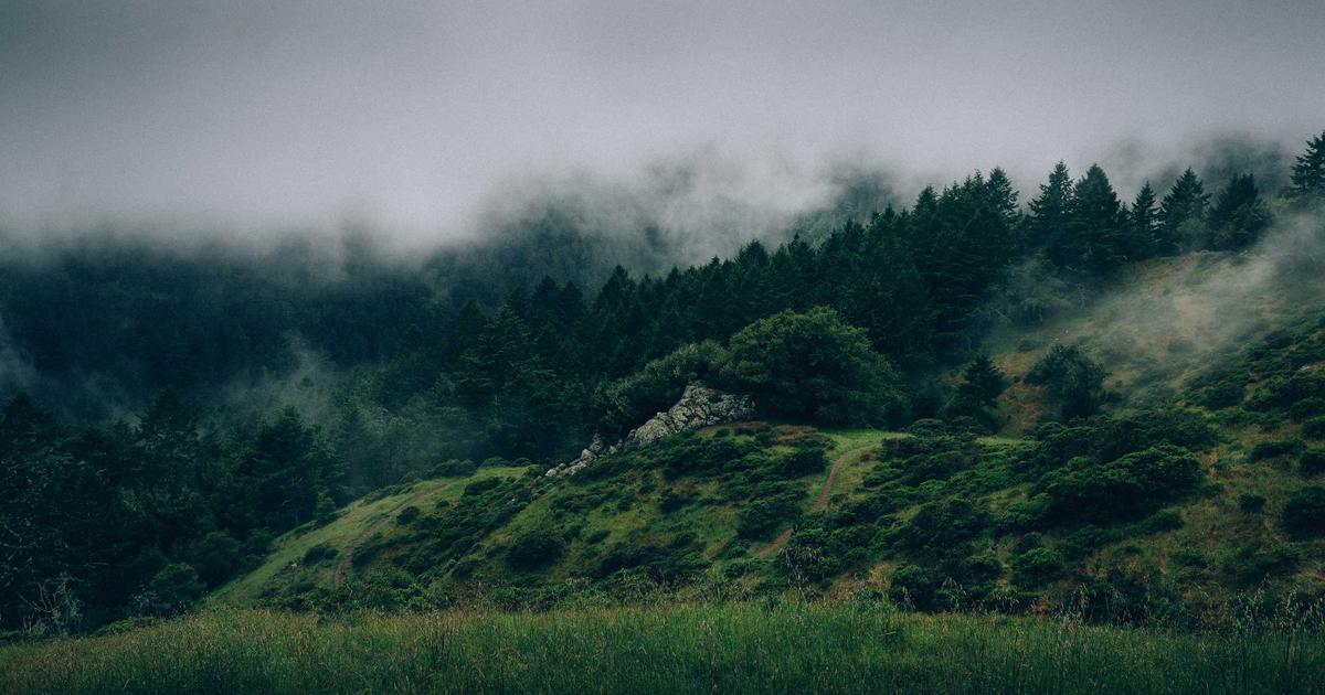 Beyond the Delivery: Pairing Denver Cannabis with Guided City Adventures